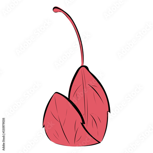 Blatt