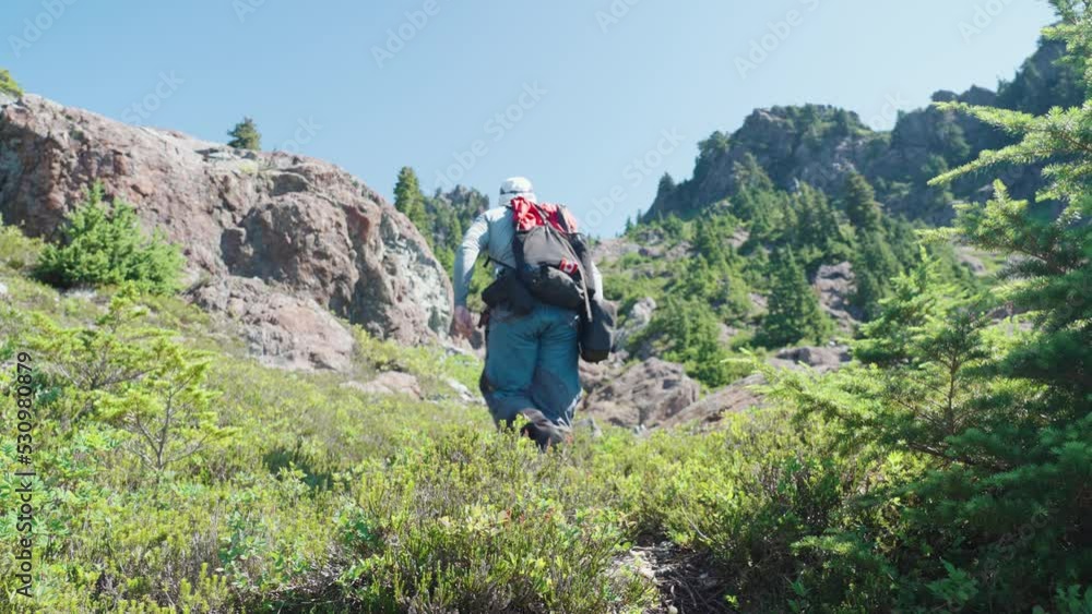Hiker Walking Away From Camera Celebrating - Mackenzie Range, Vancouver Island, BC, Canada Hiker Walking Away From Camera Celebrating - Mackenzie Range, Vancouver Island, BC, Canada