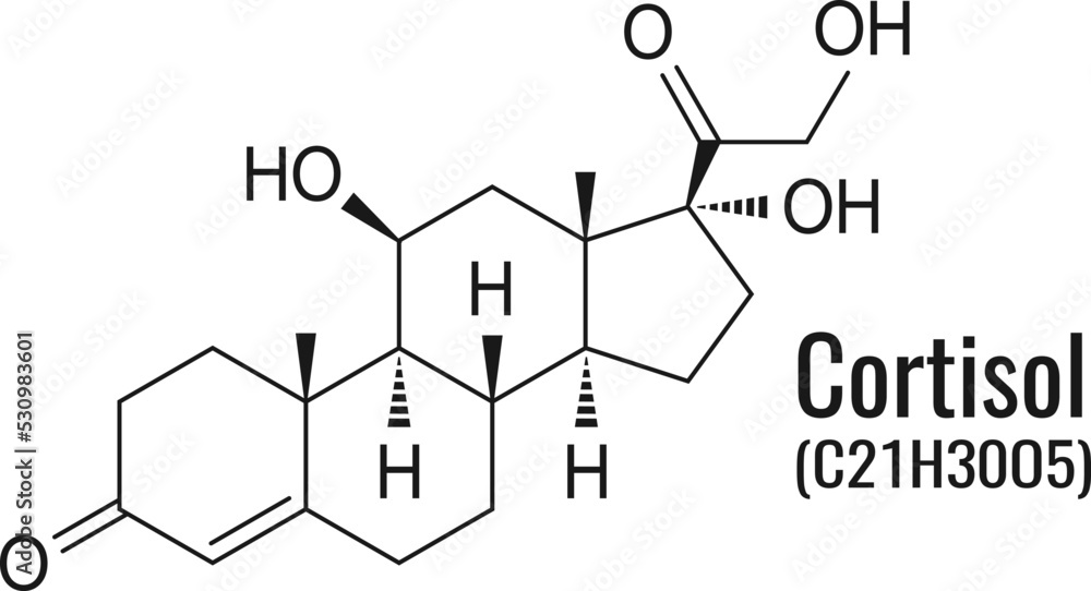 Cortisol molecule, vector chemical formula