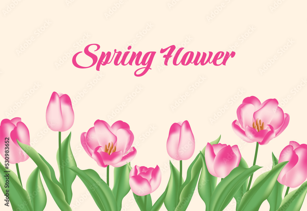 Fototapeta premium Tulip flower background design