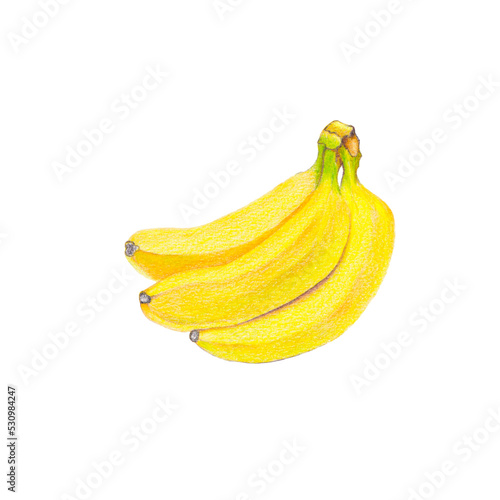 colored pencil yellow banana fruit