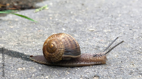 Moving at a snails pace