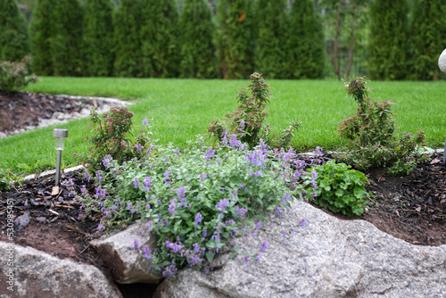 Steingarten mit Gras und Thuja Smaragt im Hintergrund