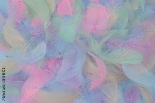 Beautiful soft colorful blue green pink feather texture pattern background with lighting. Abstract modern festive, love, valentines day, romantic, easter background