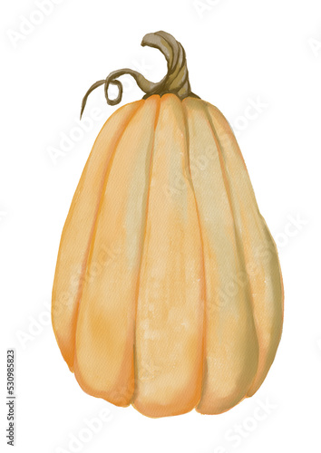 Watercolor orange pumpkin illustration