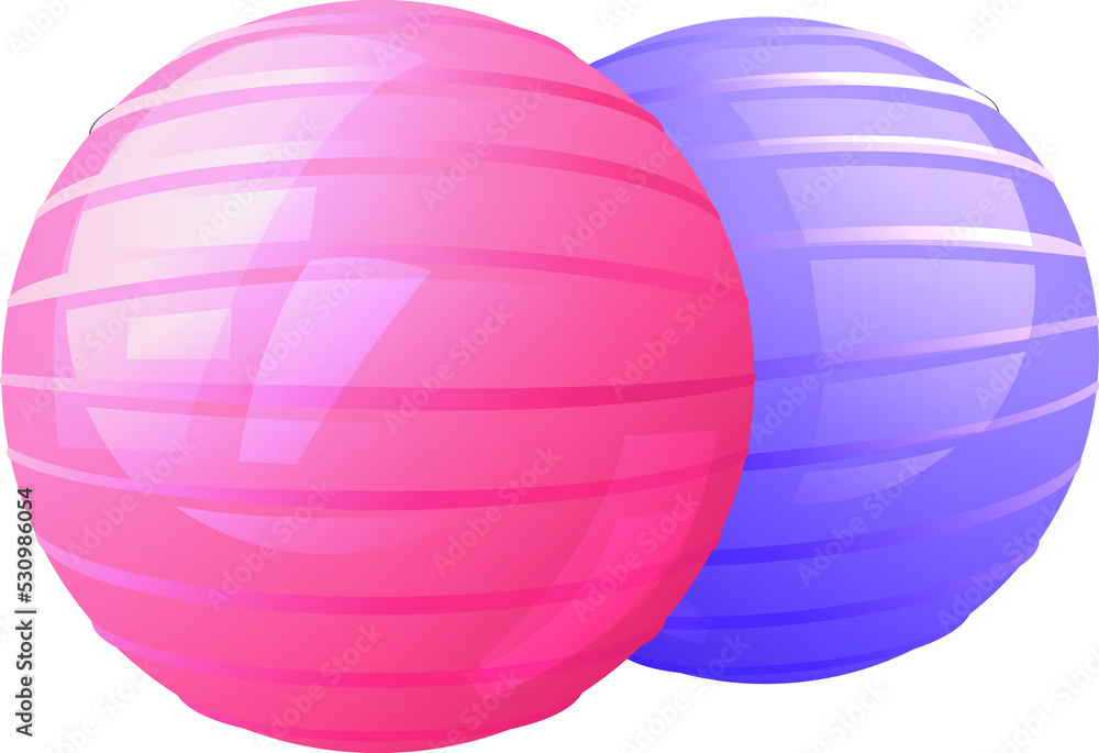 fitness ball fitness ball
