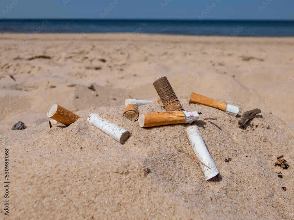 Cigarette butts in the white sand on Baltic sea beach as toxic plastic