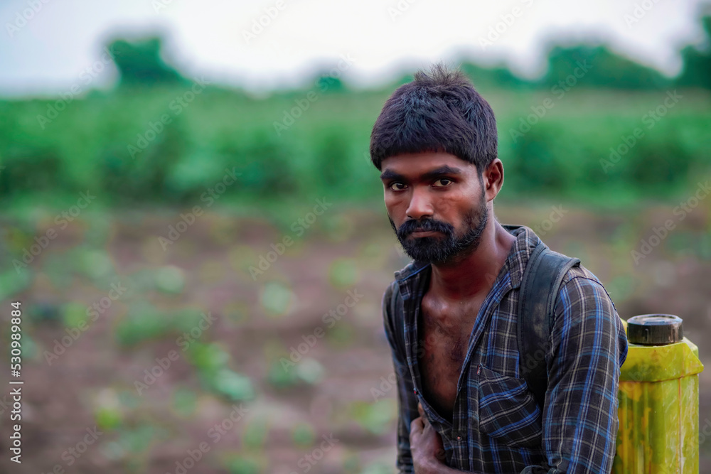 Indian farmer spraying pesticides in green banana agriculture field. Indian farmer spraying pesticides in green banana agriculture field.