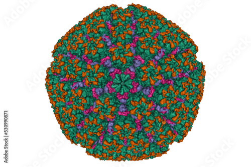 Structure of varicella-zoster virus A-capsid, 3D Gaussian surface model with icosahedral symmetry shown photo