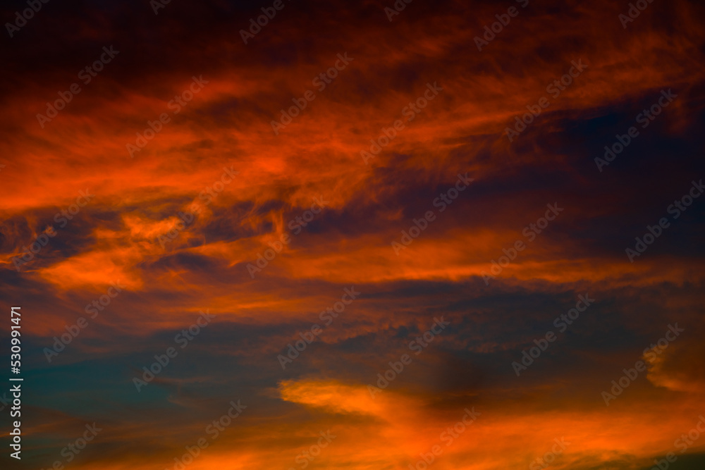Beautiful red clouds in the dark blue sky, summer sunset