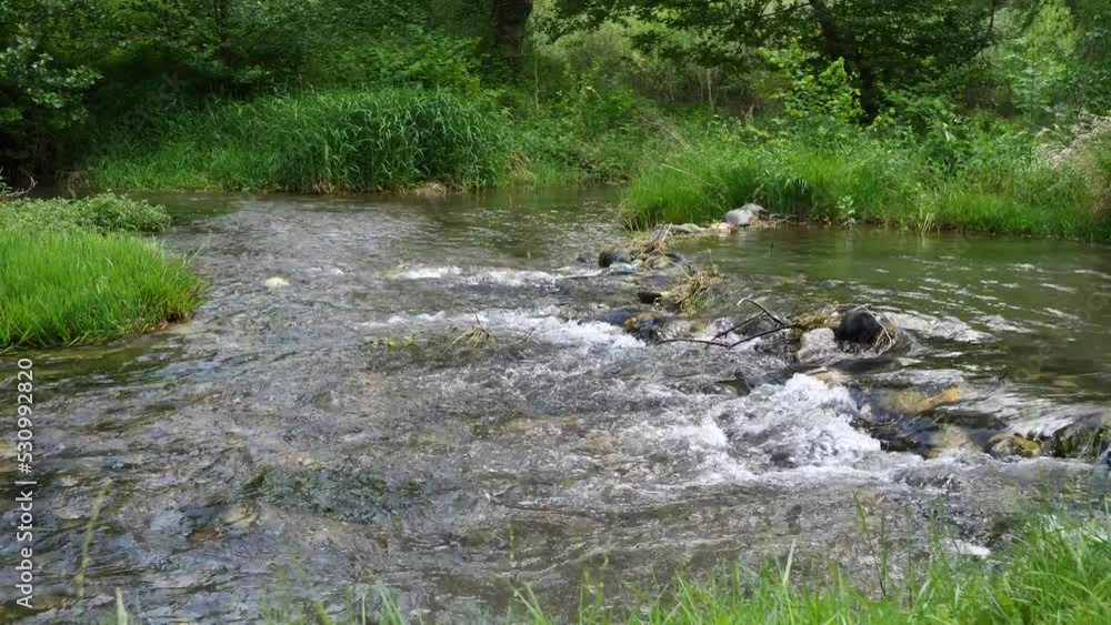 view of a torrent in the countryside in spring, France Pyrenees mountains view of a torrent in the countryside in spring, France Pyrenees mountains