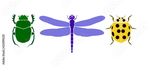 Vector symbols of good luck, success and prosperity. Isolated color images on a white background. Dragonfly, ladybug, scarab beetle.