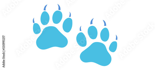 tiger footprint blue