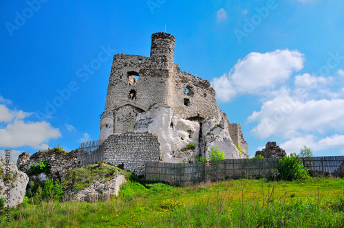 Ruins of 14th century castle located in the Mirow village, Silesian Voivodeship, Poland. photo