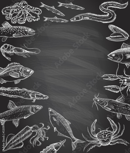 Fish and seafood frame on a chalkboard template, hand drawn graphic illustration with empty space for text