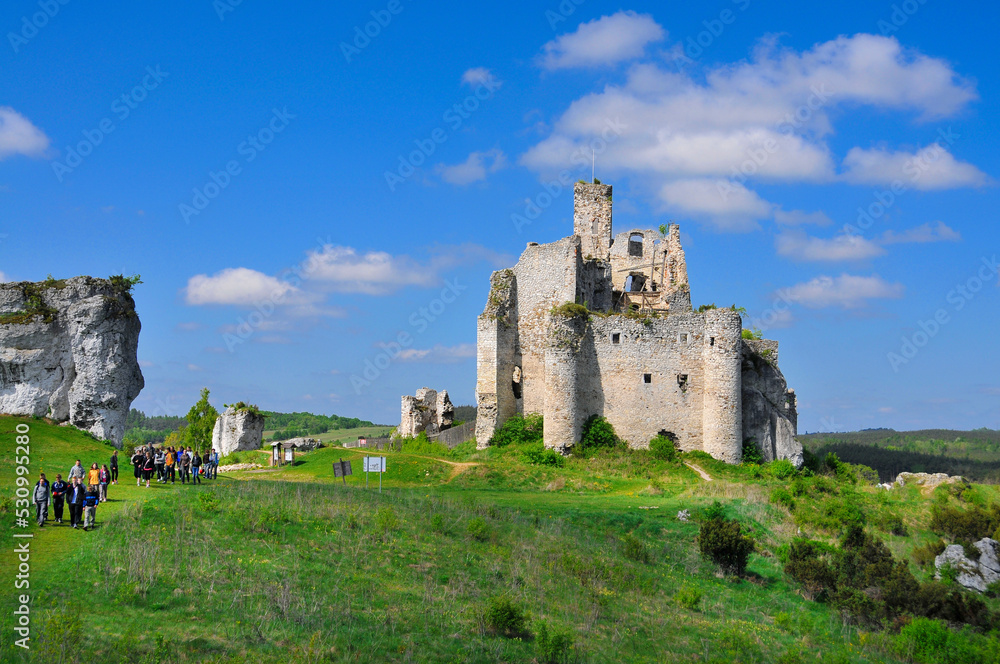 Ruins of 14th century castle located in the Mirow village, Silesian Voivodeship, Poland.