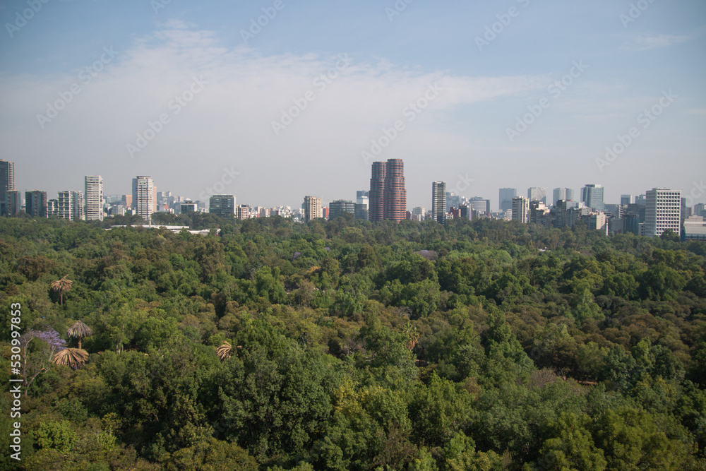 view of the skyline of Mexico City