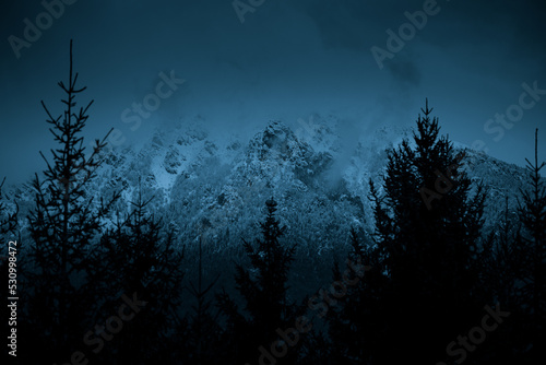 Mountain winter moody landscape - concept of great outdoor - cinematic look image