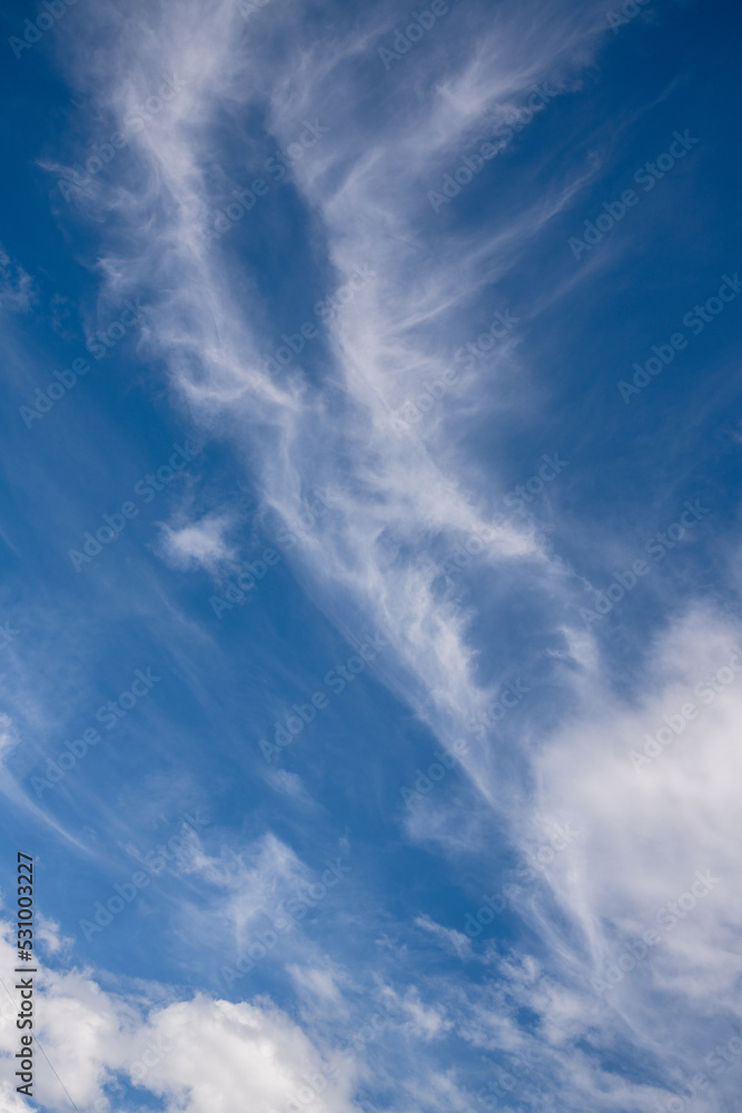 Obraz premium 秋の空