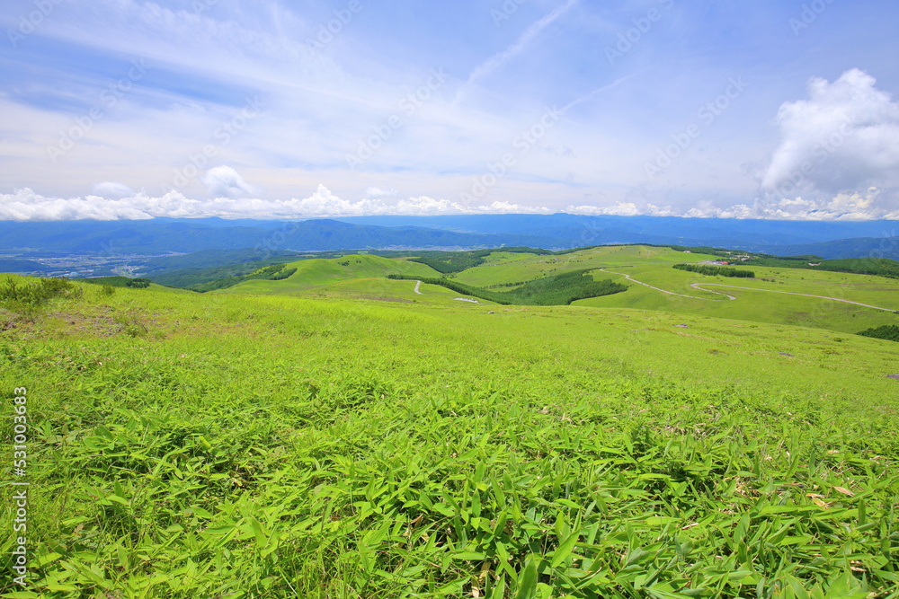 Green, Natural landscape, Rainforest Green, Natural landscape, Rainforest