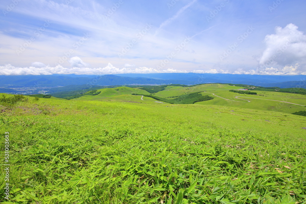 Green, Natural landscape, Rainforest