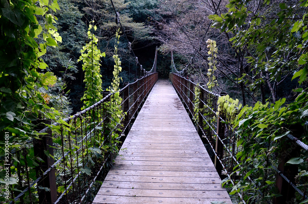 吊橋 吊橋