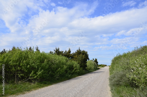 road in the nature danmark