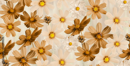 Isolated Calendula Daisy Real Flowers Photo Print Seamless Pattern Ombre Background Trendy Fashion Colors Elegant Chic Style Design Perfect for Allover Fabric Print