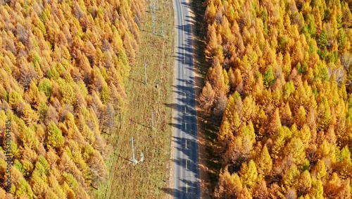 Aerial footage of beautiful forest and asphalt road in autumn photo