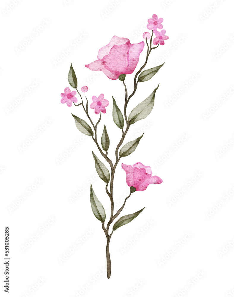 Watercolor floral illustration 