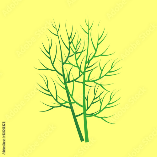 dill stalk on yellow background