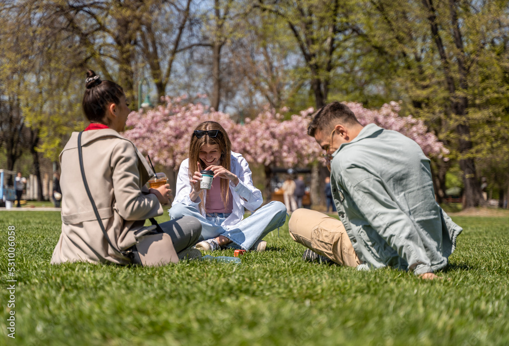 Cheerful friends sitting on green meadow