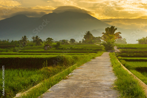 Indonesian scenery, morning in the village and rice fields with sunrise