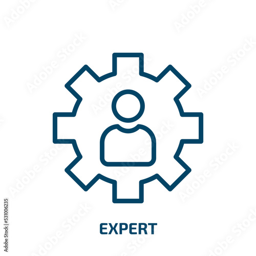 expert icon from business collection. Thin linear expert, business, management outline icon isolated on white background. Line vector expert sign, symbol for web and mobile