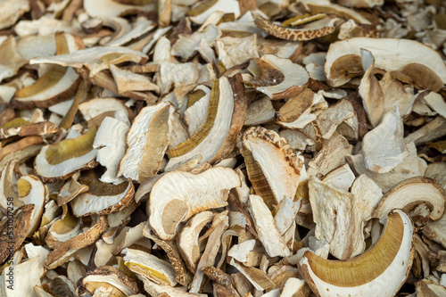texture of dried porcini mushrooms