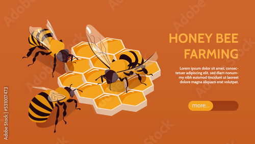 Beekeeping Horizontal Banner