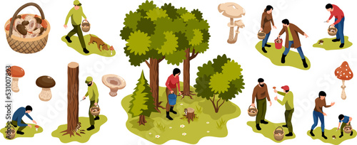Forest Mushroom Pickers Set