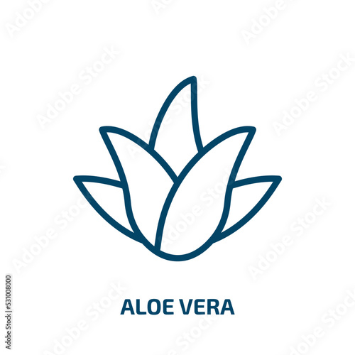 aloe vera icon from beauty collection. Thin linear aloe vera, natural, plant outline icon isolated on white background. Line vector aloe vera sign, symbol for web and mobile