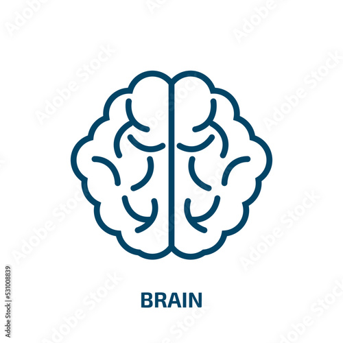 brain icon from artificial intellegence and future technology collection. Thin linear brain, intelligence, human outline icon isolated on white background. Line vector brain sign, symbol for web and