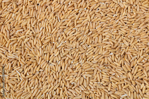 Oat groats. Raw whole oat seeds. Texture background. Healthy eating. Top view.