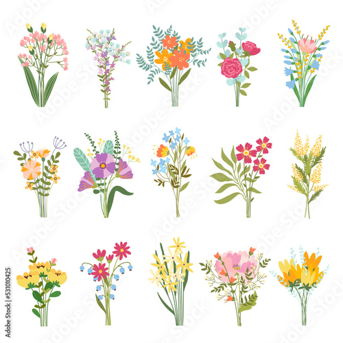 Flower bouquets. Blooming garden and wild plants in beautiful bouquet, blossom bunch and botanical gift vector set