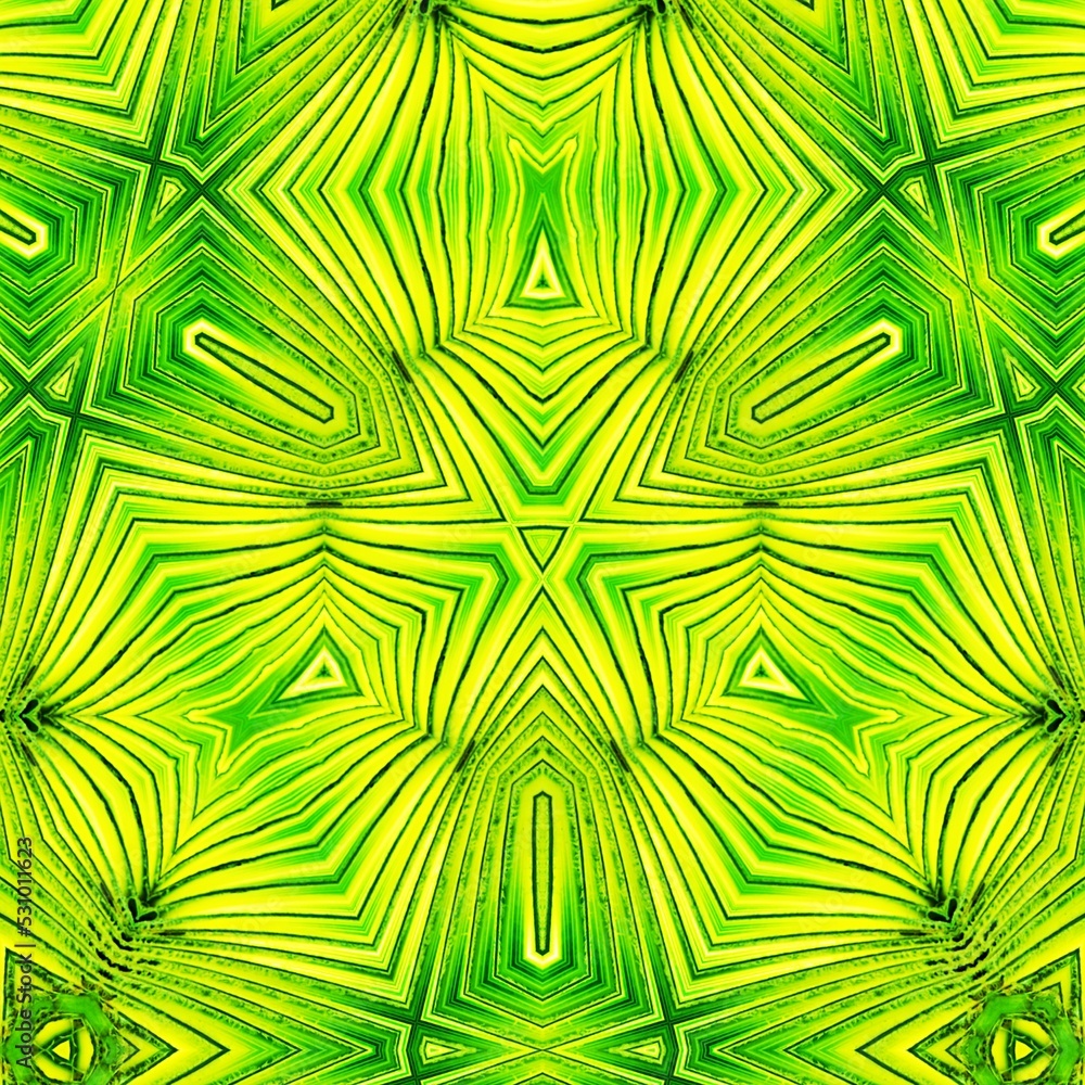 a decorative floral digital kaleidoscope pattern