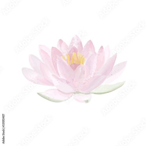Fototapeta Naklejka Na Ścianę i Meble -  watercolor hand drawn Lotus flower in light theme