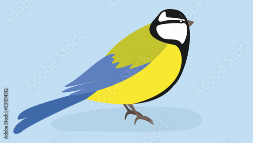 titmouse on a blue background