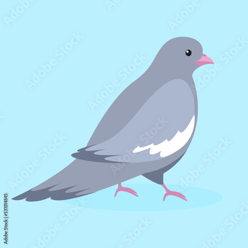 dove on a blue background
