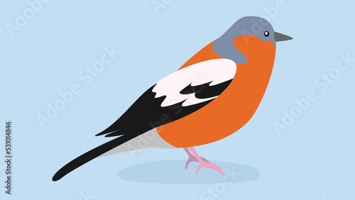 bullfinch on a blue background