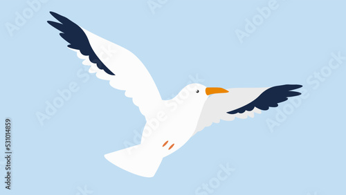 seagull in flight in the sky