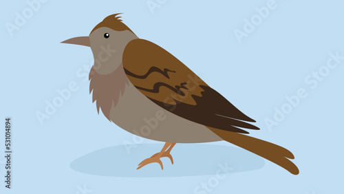 skylark on a blue background