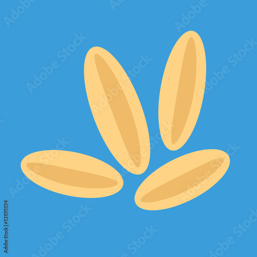 vegetable seeds on blue background