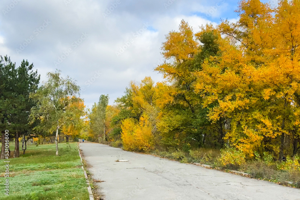Alley in the autumn park, Beautiful yellow trees in autumn garden, autumn season